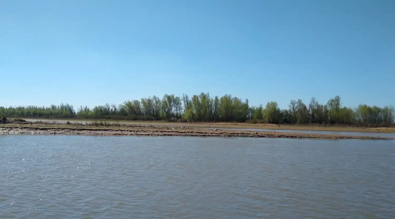 Una recorrida por el Delta: “La quema de islas es como serruchar la rama donde uno está parado”