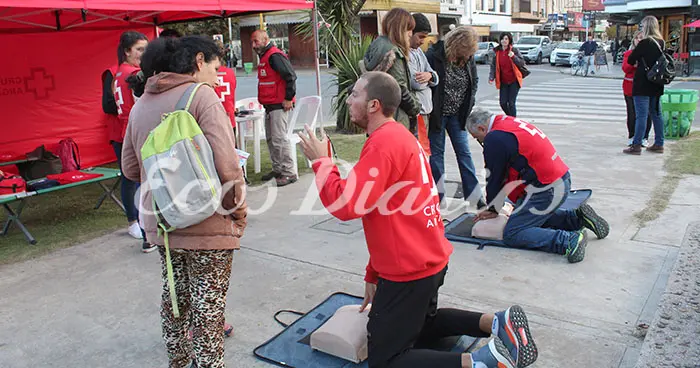 Interés por el voluntariado