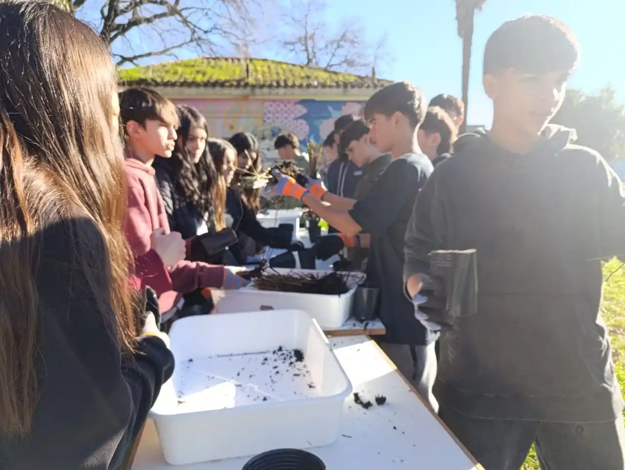 Estudiantes de la Escuela Normal realizan un proyecto para fomentar la plantación de plantas nativas