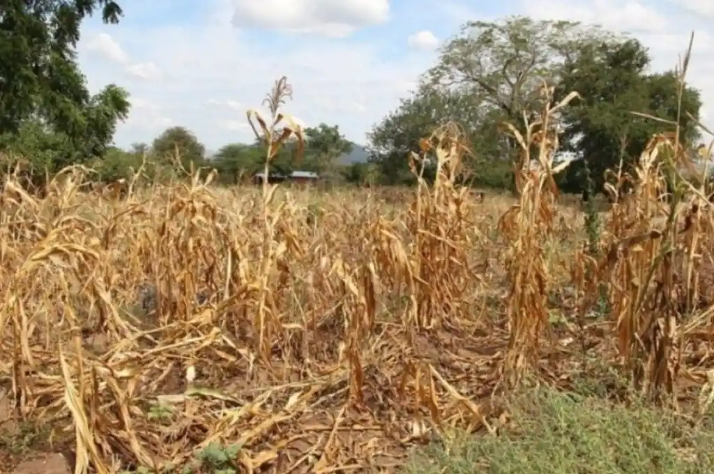 Once provincias argentinas en emergencia y desastre agropecuario