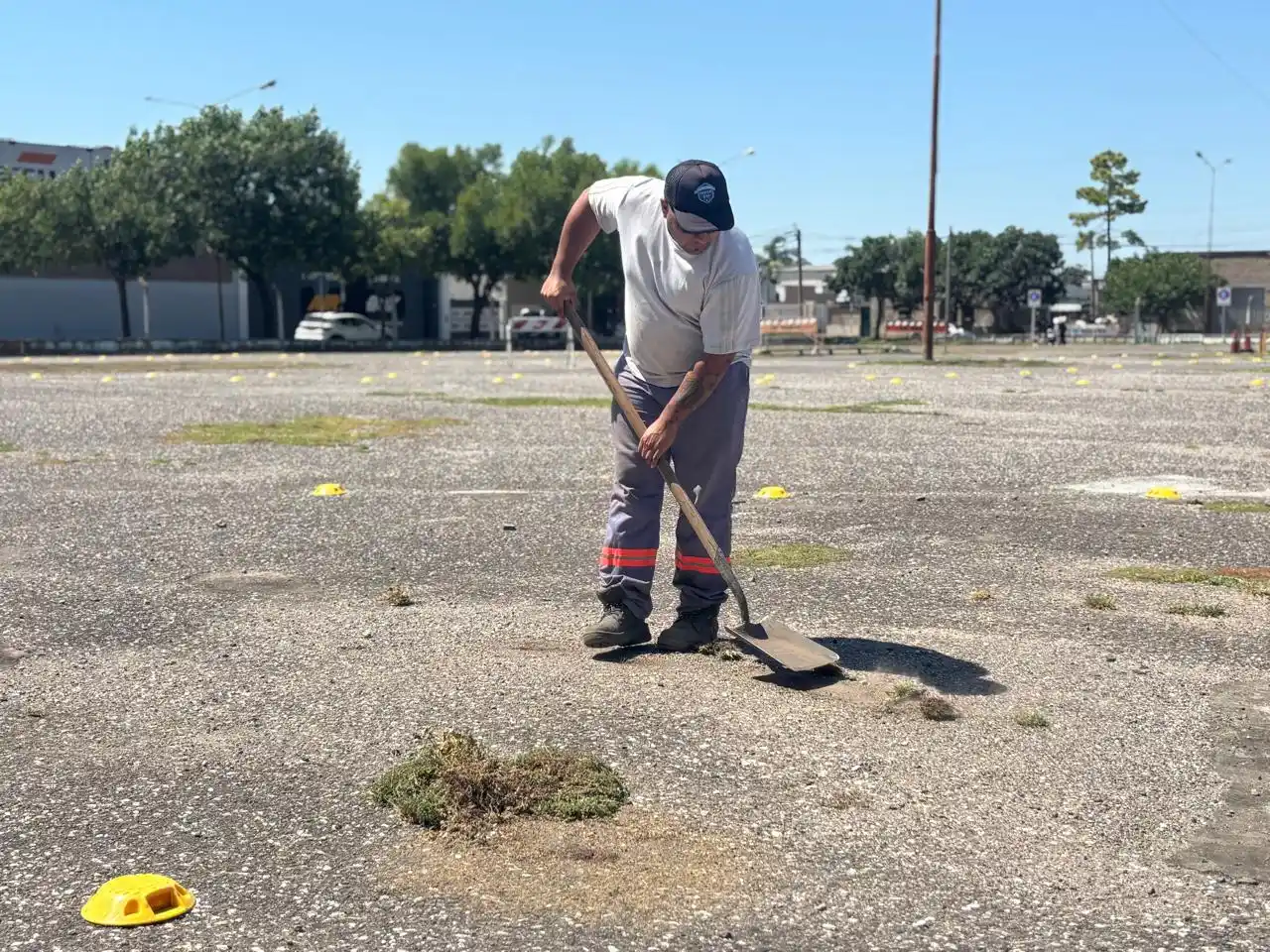 Realizan tareas en el Predio de la Flor