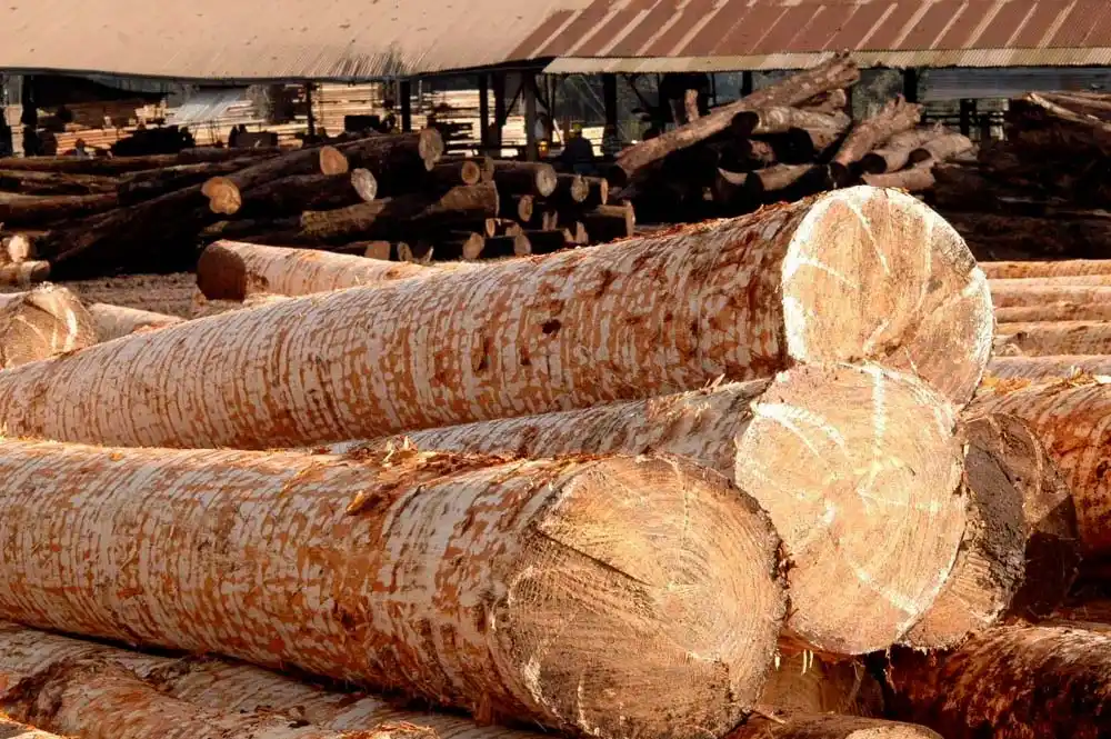 Comienza el 135° Congreso Nacional Maderero