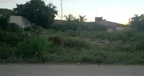 Terreno abandonado