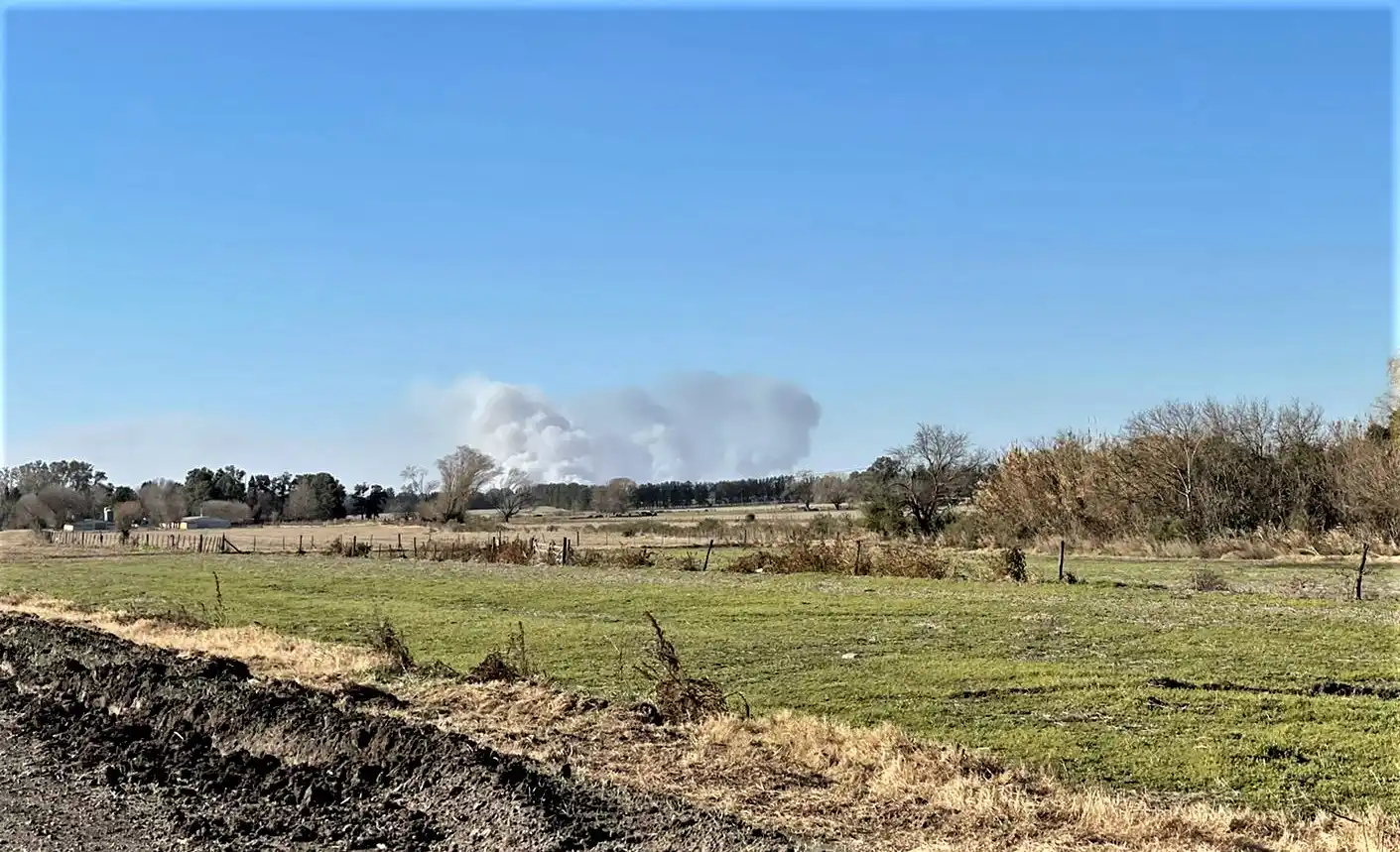 Siguen los incendios en islas: son alrededor de 1400 hectáreas las afectadas