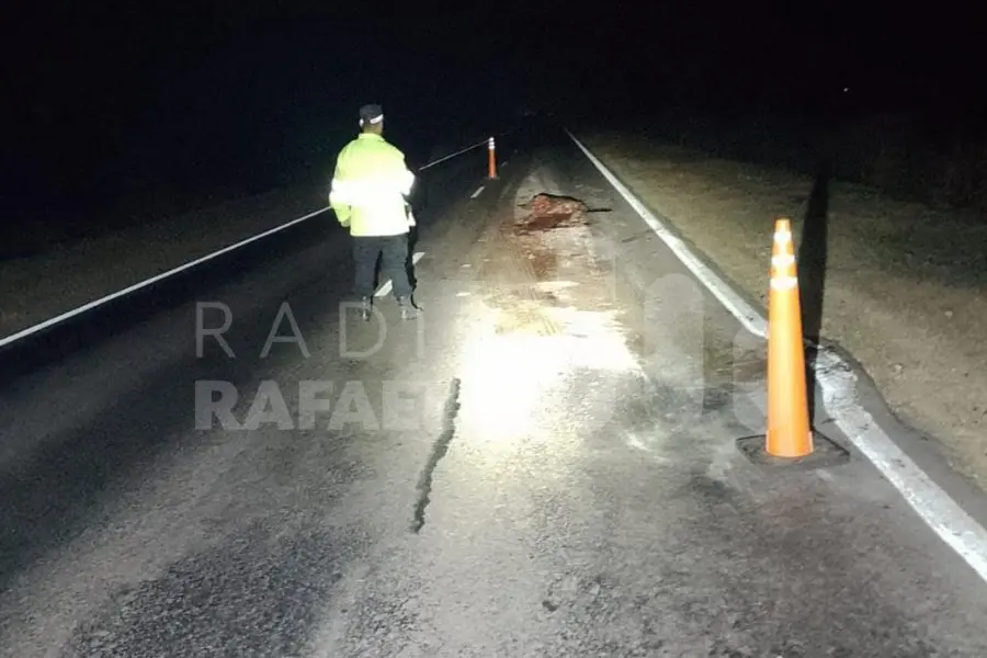 En la madrugada: trasladaba a un equipo femenino de básquet cuando chocó a un jabalí en la Ruta Provincial N°2