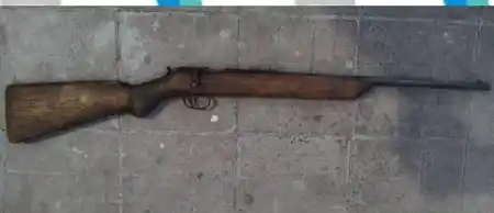 La carabina marca “Diana” que se incautó en poder el aprehendido.