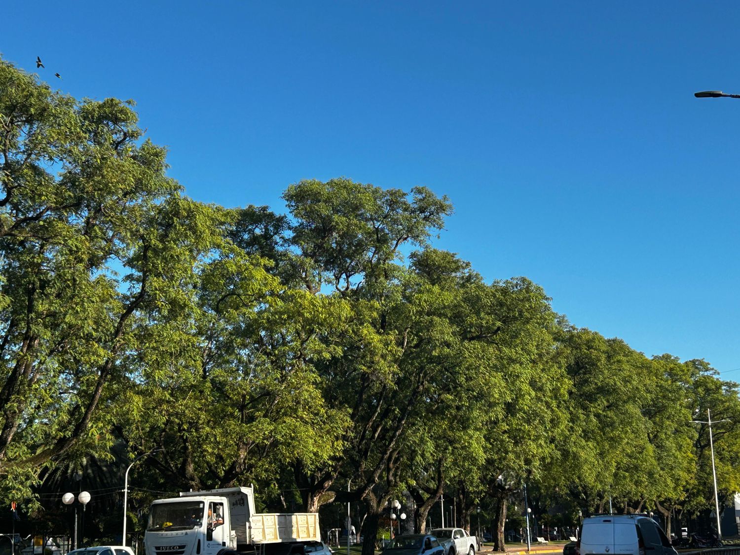 CREDITO: RADIO RAFAELA