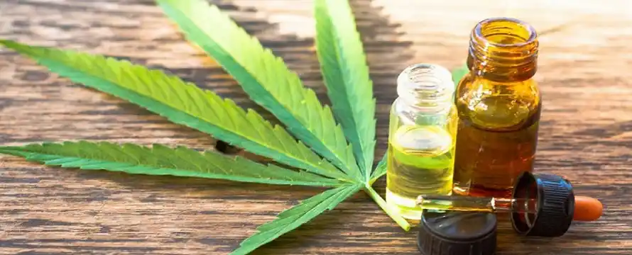 Cannabis medicinal en Chascomús: Adhieren a la ley nacional