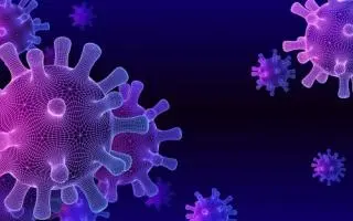 #Coronavirus Parte 11 de diciembre de 2021: 2.445 casos y 12 muertes informadas en las últimas 24 horas