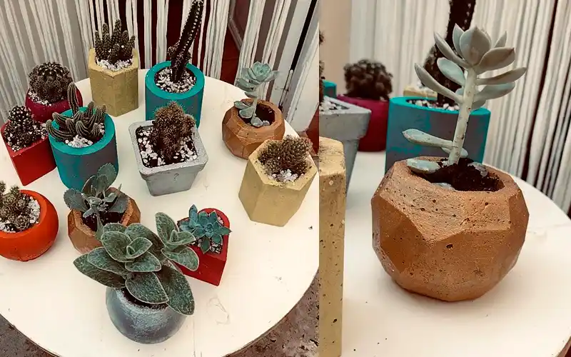 Venden macetas para costear el tratamiento de Nina, una niña de 7 años con pubertad precoz