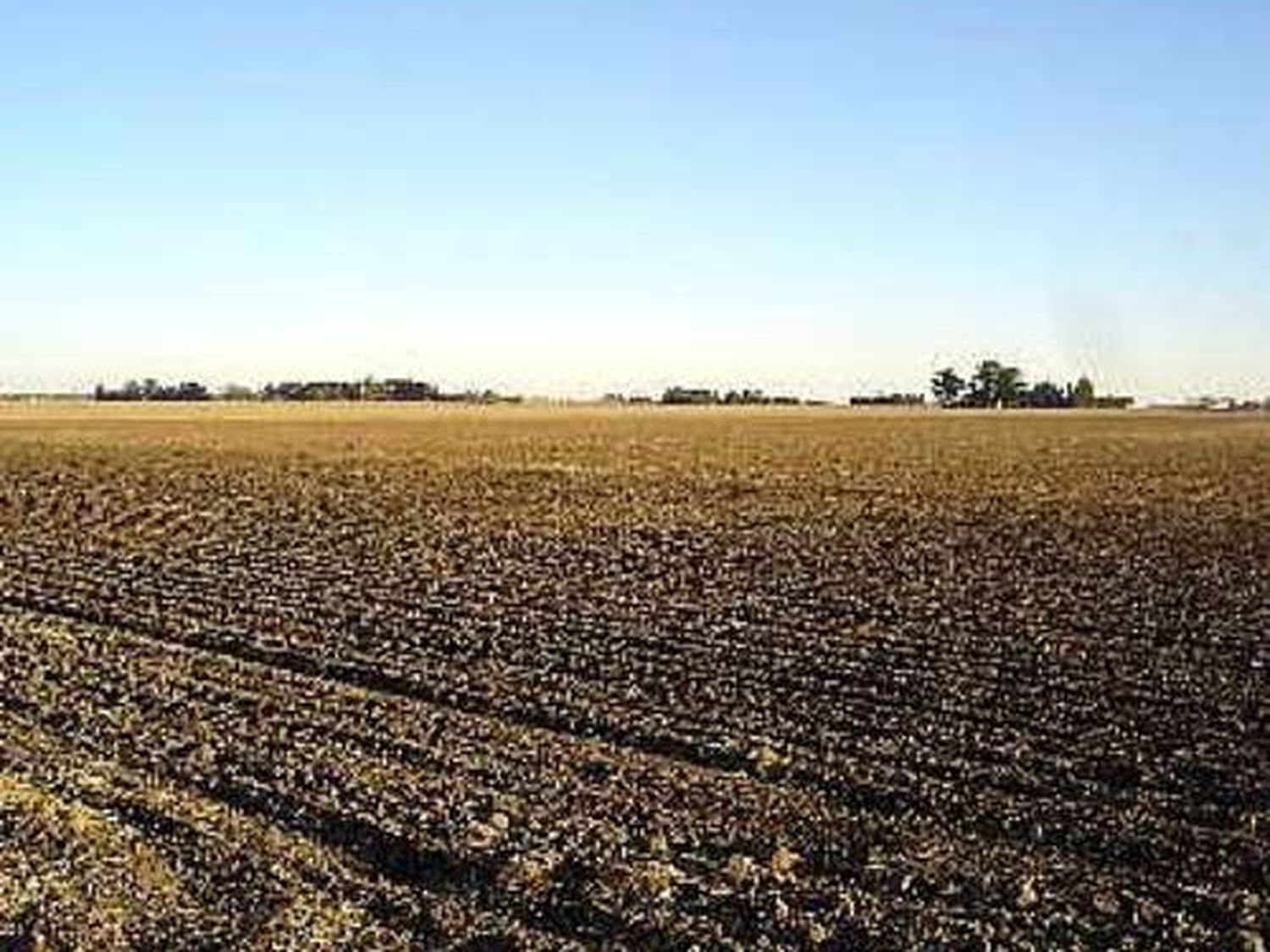 imagen ilustrativa: campos de Sandford.