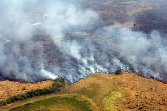 Paraguay declaró la emergencia ambiental por los incendios forestales