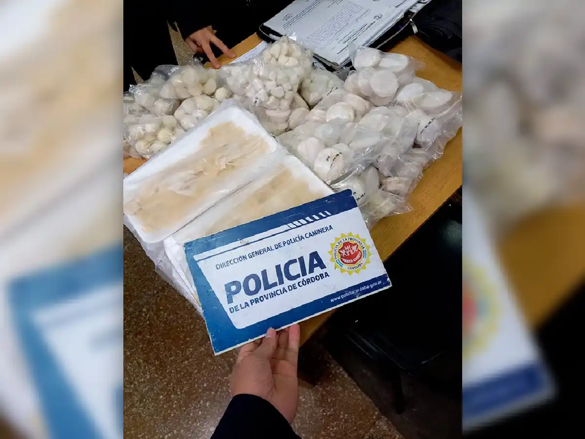  Rutas 19 y 158: decomisan varios kilos de pastas transportadas sin  refrigeración y “flojas” de papeles 