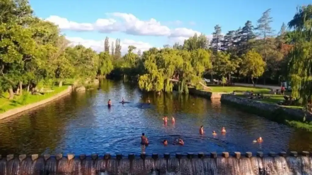 dogos atacan a una mujer 2