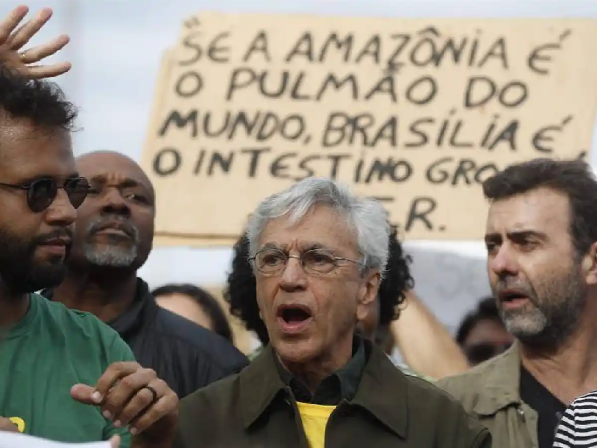 Arde la Amazonia: con Caetano Veloso a la cabeza, miles de personas marcharon en Brasil 