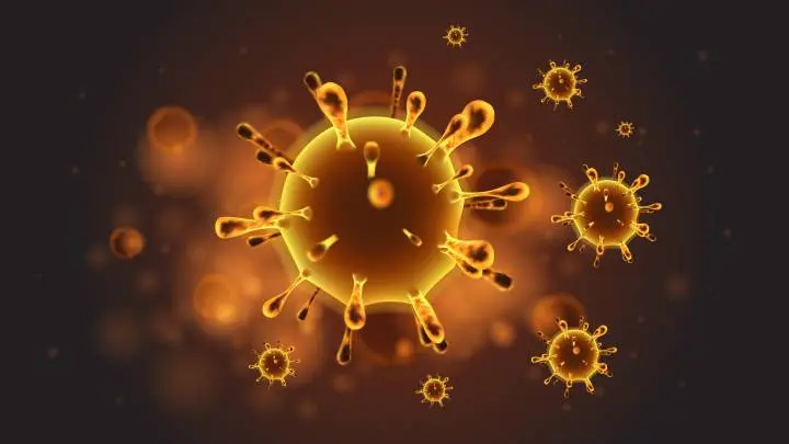 #Coronavirus Parte 11 de noviembre de 2021: 1.460 casos y 19 muertes informadas en las últimas 24 horas