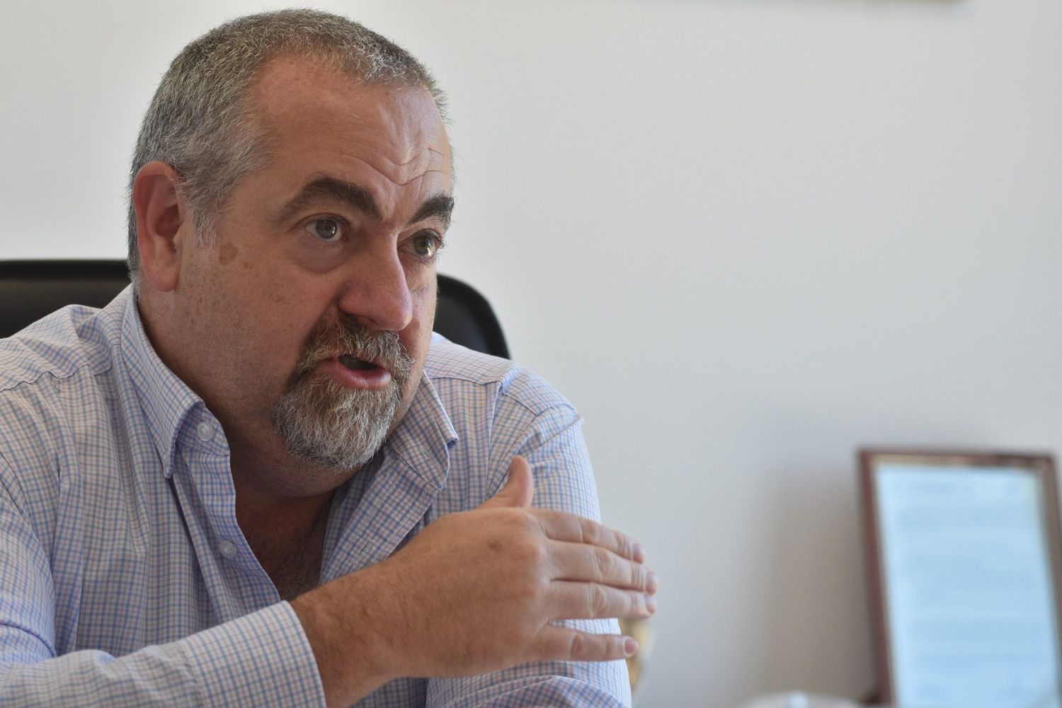 Por ahora no hay cantidad ni calidad para abastecer molinos brasileños con trigo santafesino