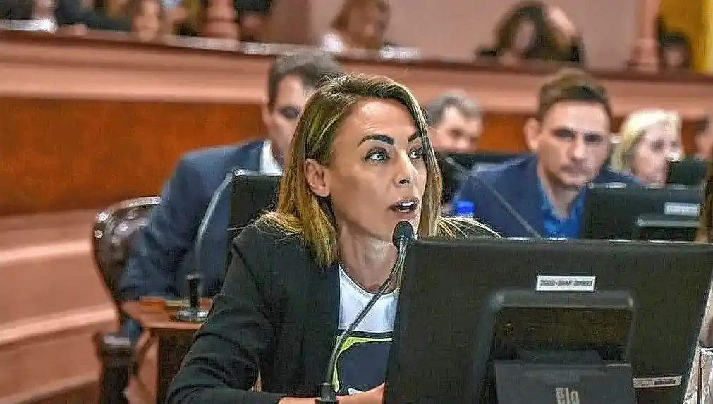 Arrozogaray impulsa una ley para quitar impuestos a la refinanciación de tarjetas