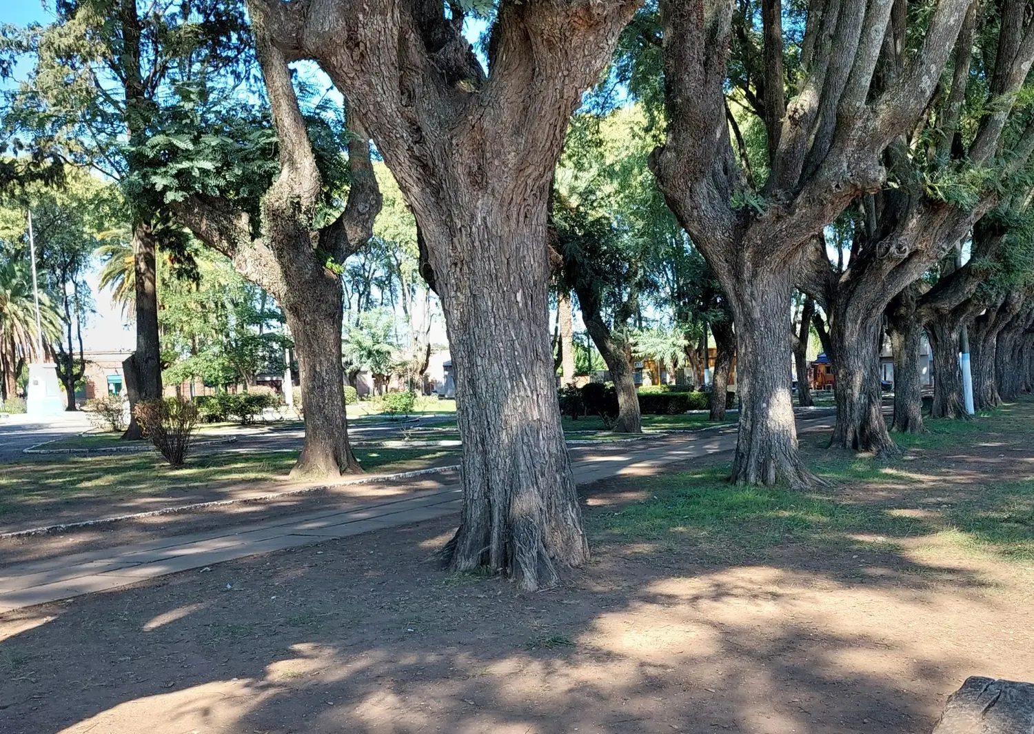 Plaza central de la localidad de Río Tala. Foto: La Opinión.