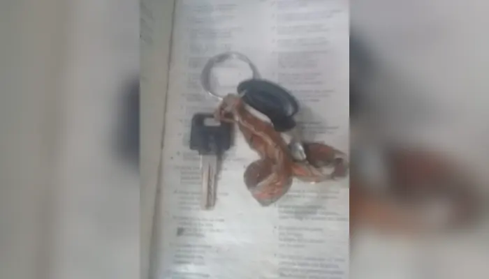 Marcelo encontró estas llaves