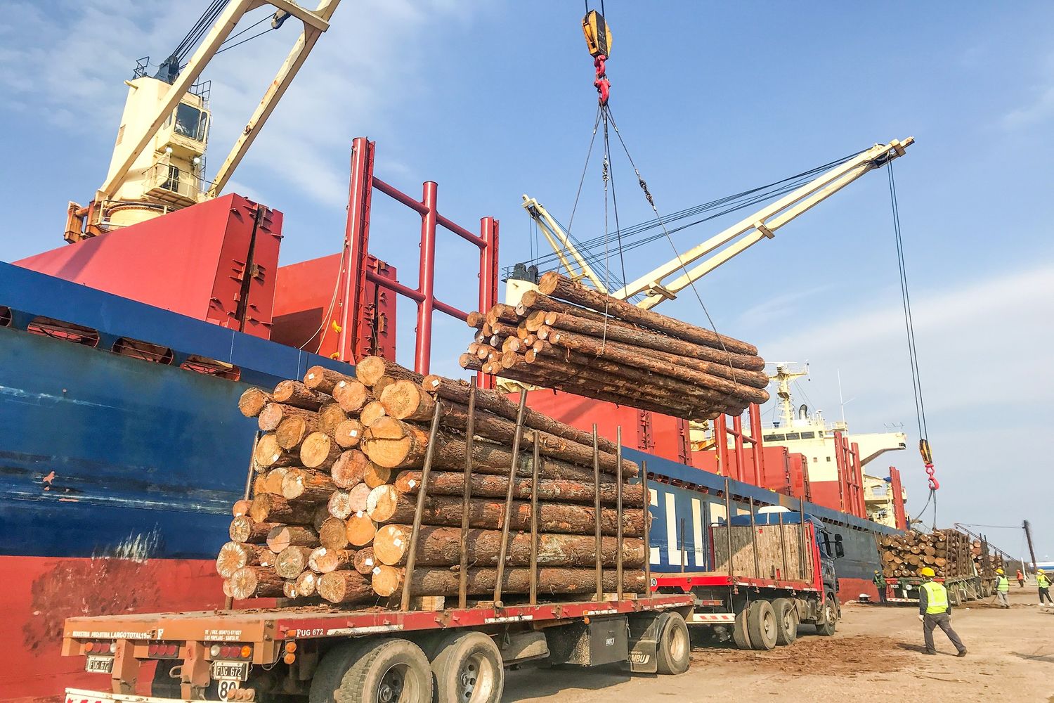 Comienzan a cargar el primer embarque de madera entrerriana con destino a la India