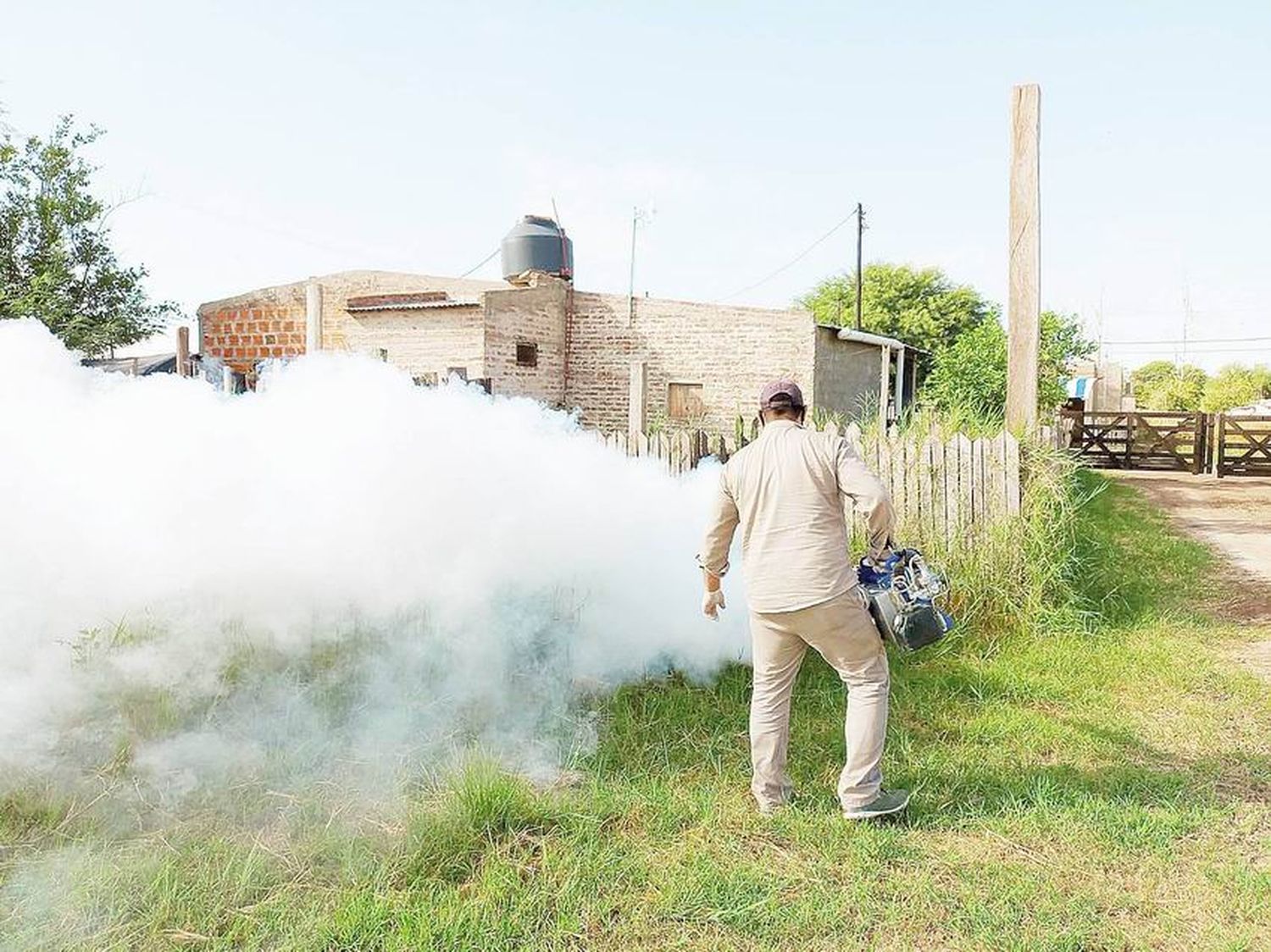 Dengue, chikungunya y zika:
Piden reformar la prevención