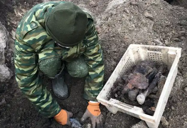 Constructora descubre fosa nazi secreta en Bielorrusia