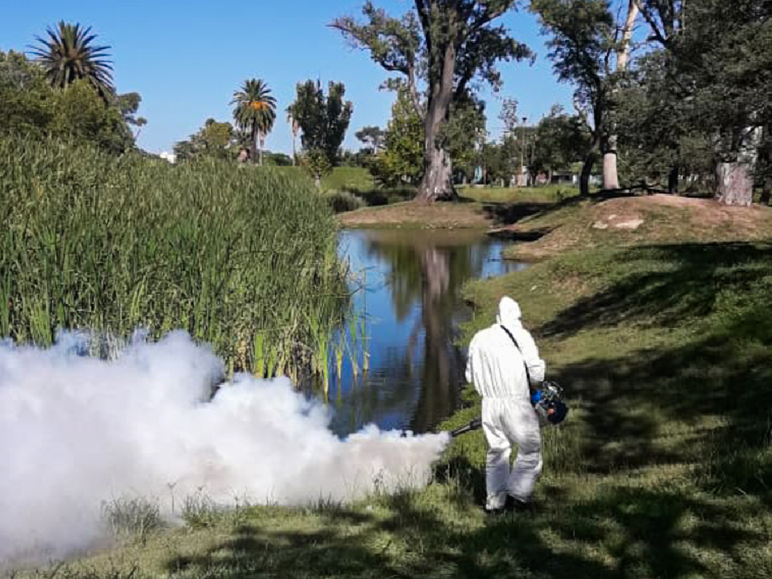 El municipio continúa con las fumigaciones 