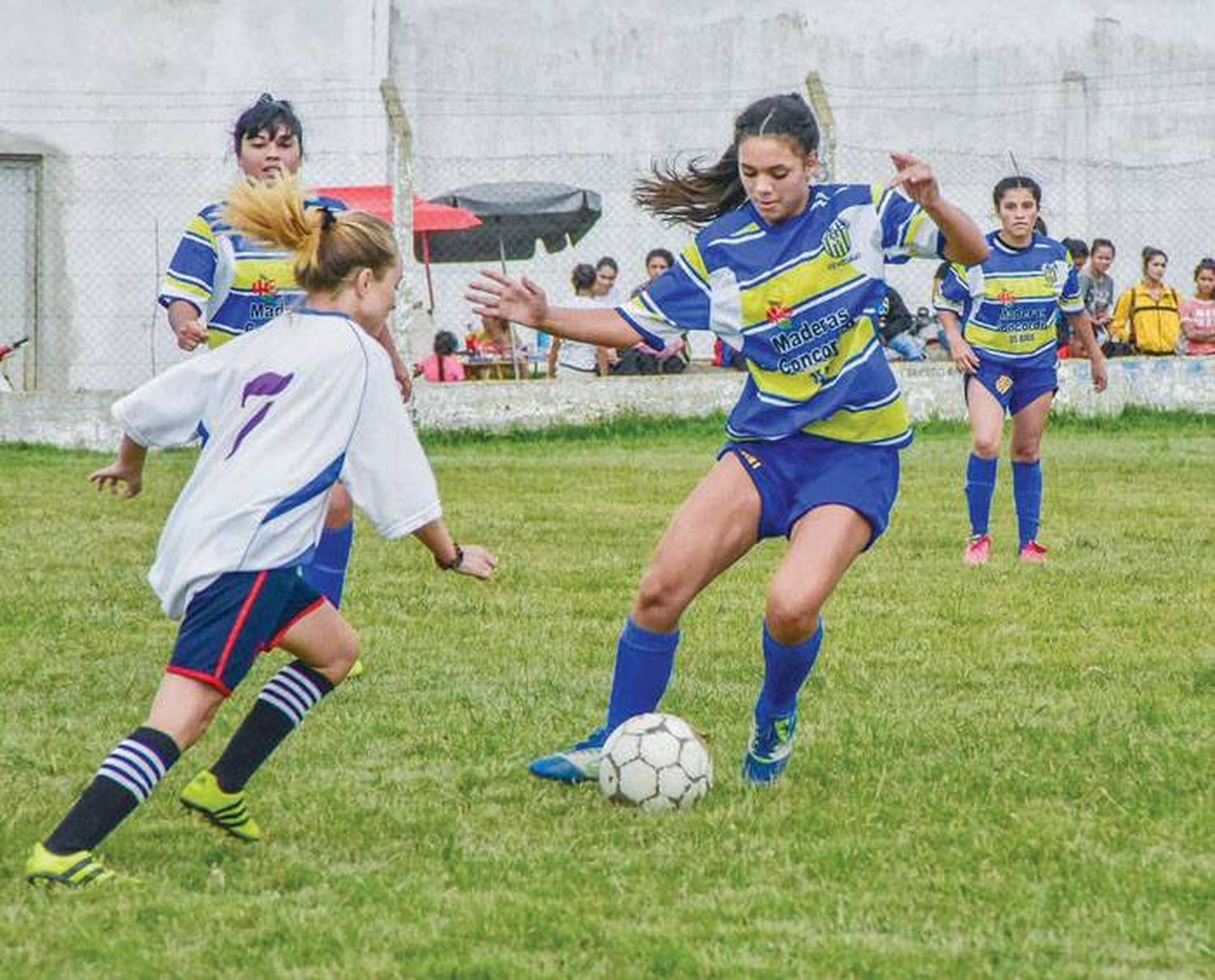 Se suspende por 15 días el Femenino y el inicio del Torneo Anual 2020