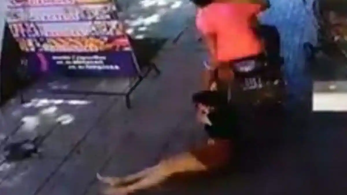 Tiraron al piso a una embarazada para robarle: el bebé podría tener lesiones