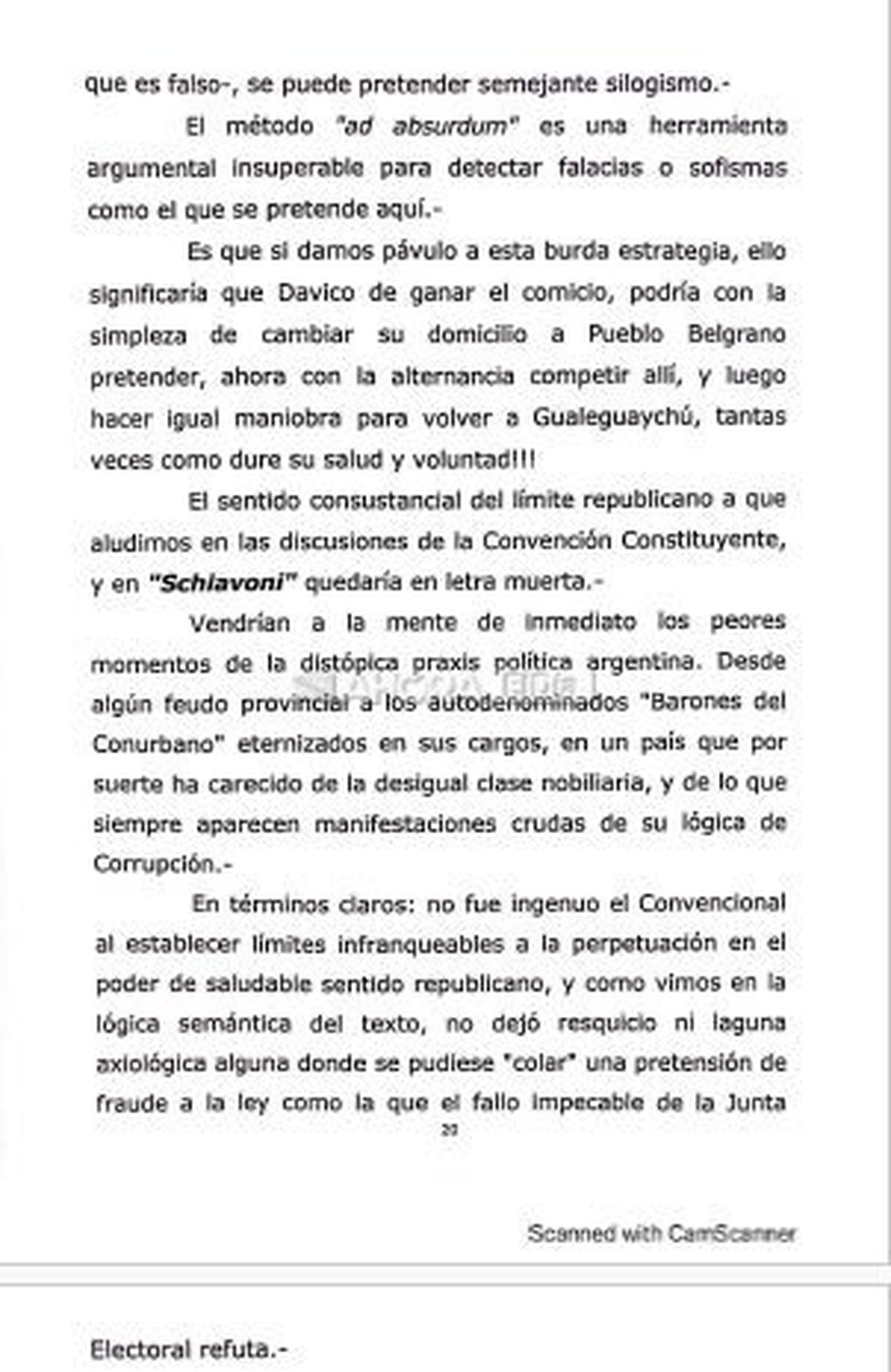 paginas fallo davico - 6