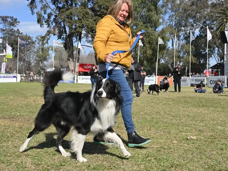 expocanina - 2