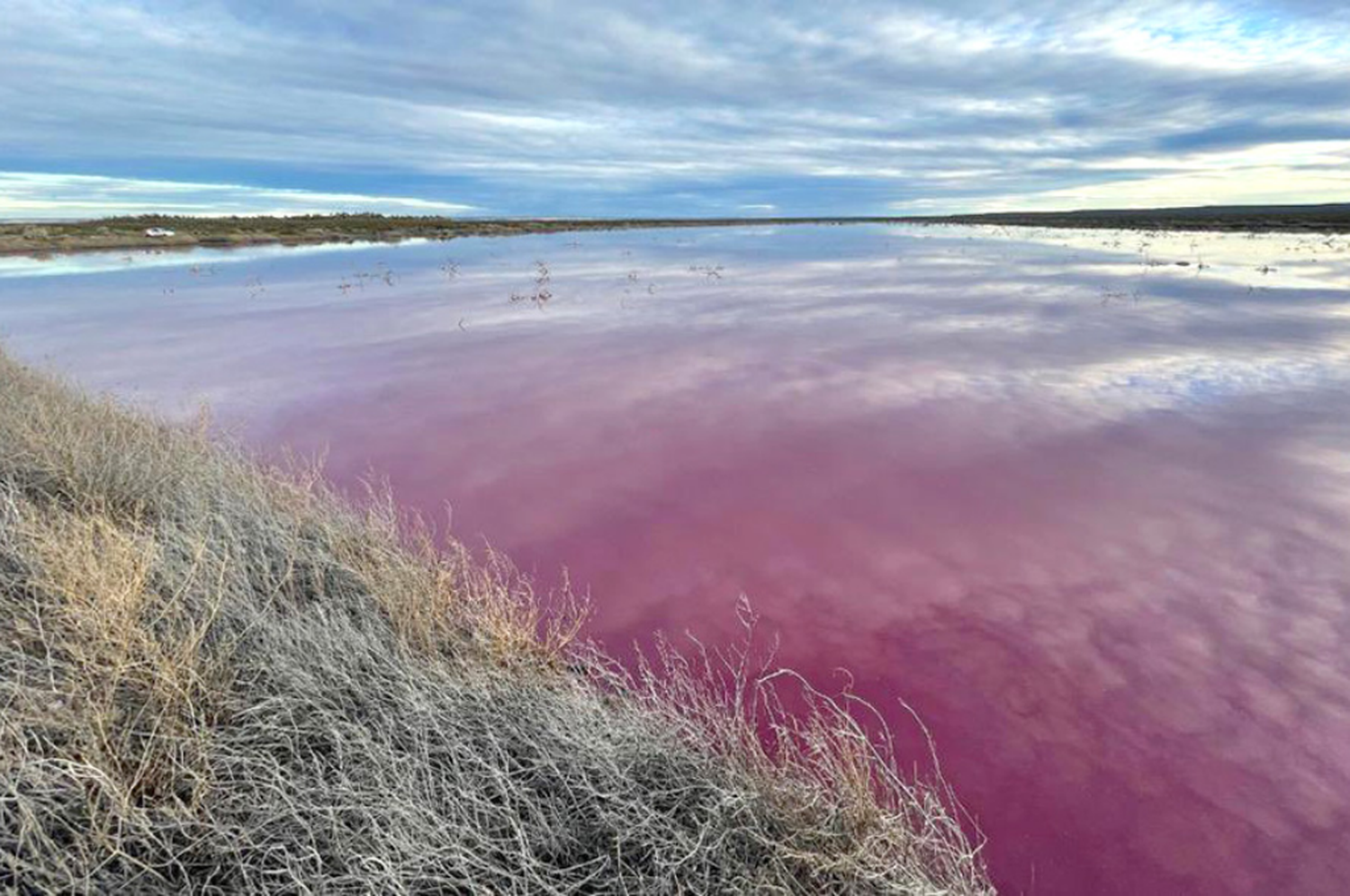 Preocupación en Trelew, un lago se tiño de rosa