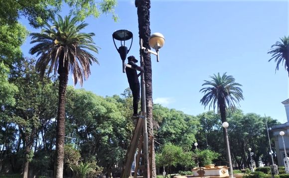 Cambian luminarias en plaza Constitución: dispondrán 30 farolas nuevas