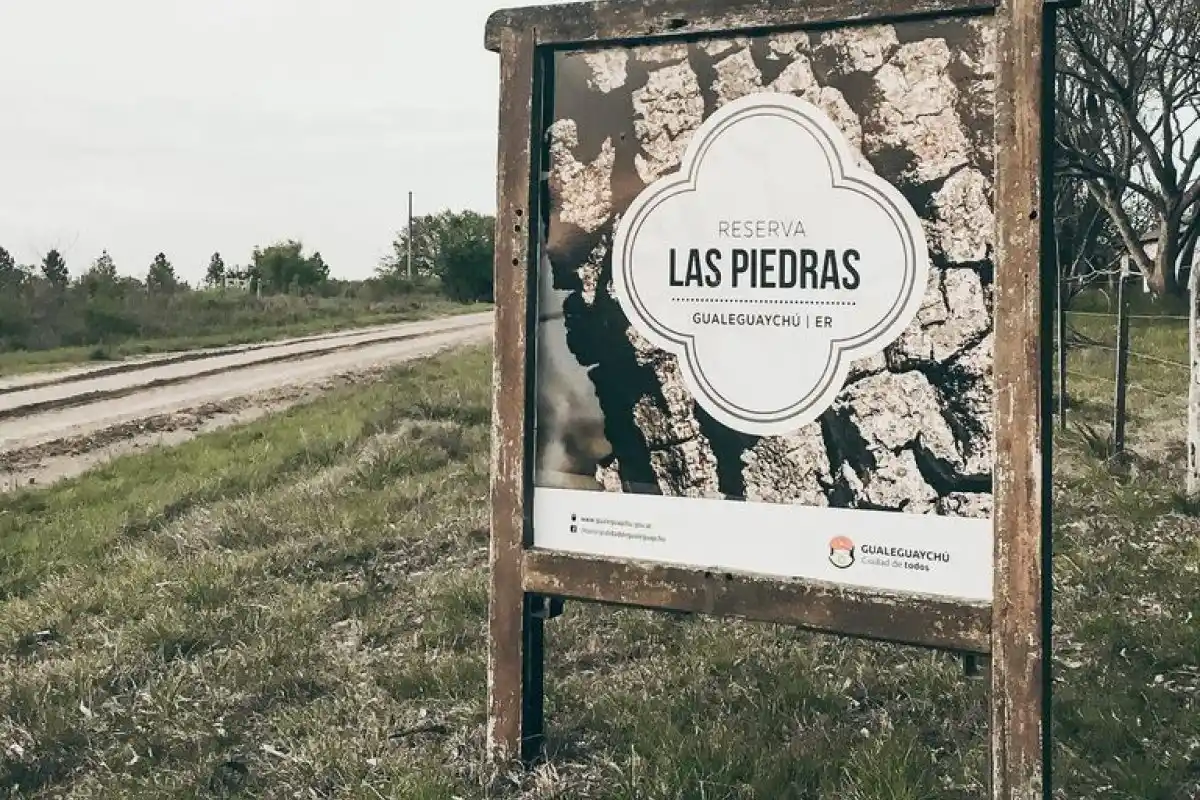 Tras más de un mes de recuperación, una lechuza fue liberada en la reserva natural Las Piedras