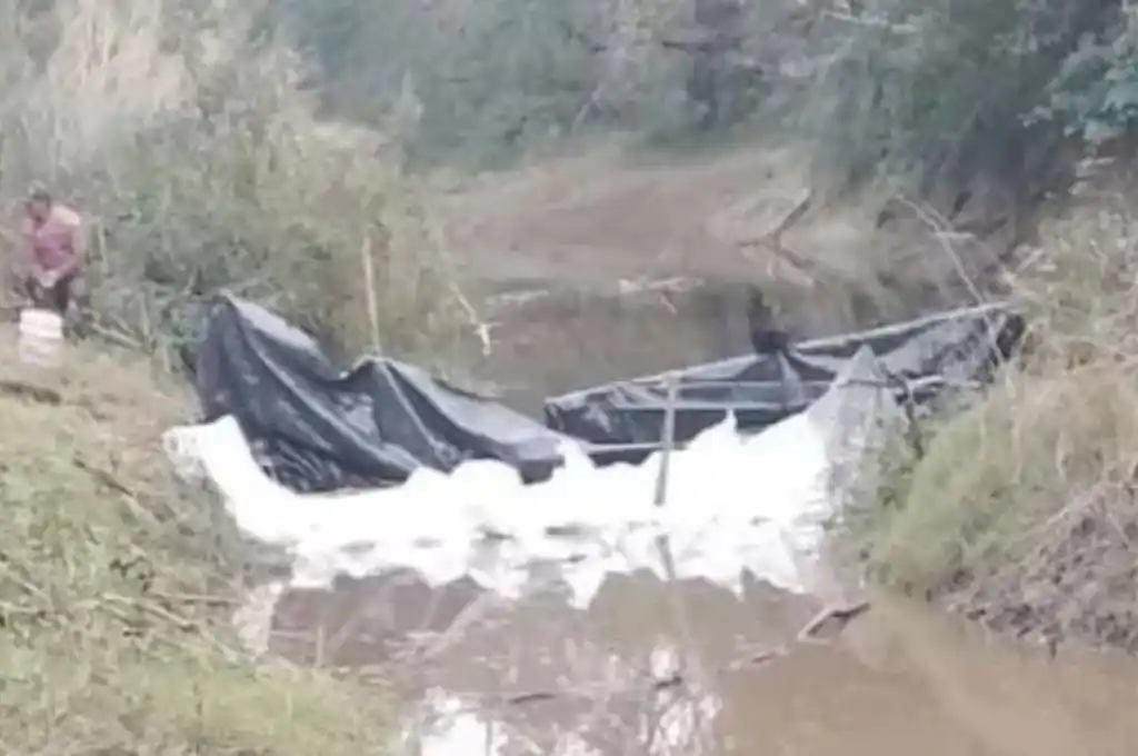 Rastrillajes por el femicidio de Cecilia Strzyzowski: buzos tácticos hallaron huesos triturados