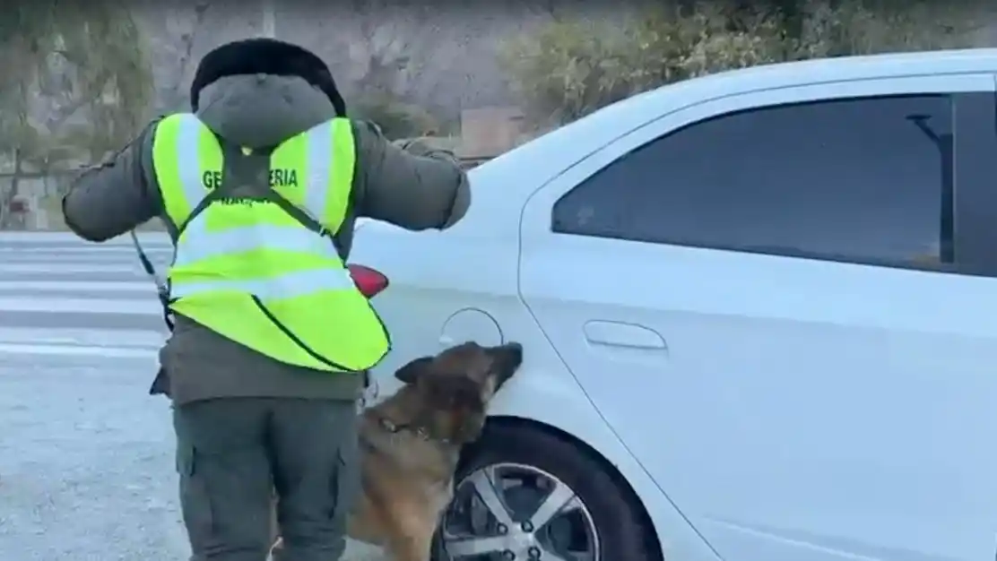 Detenidos por trasladar droga en el tanque de nafta - 1