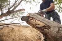 Hábito #7: afilar la sierra, la clave para una vida en equilibrio