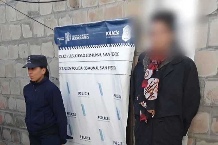 Las cámaras de seguridad permitieron establecer la autoría del robo.