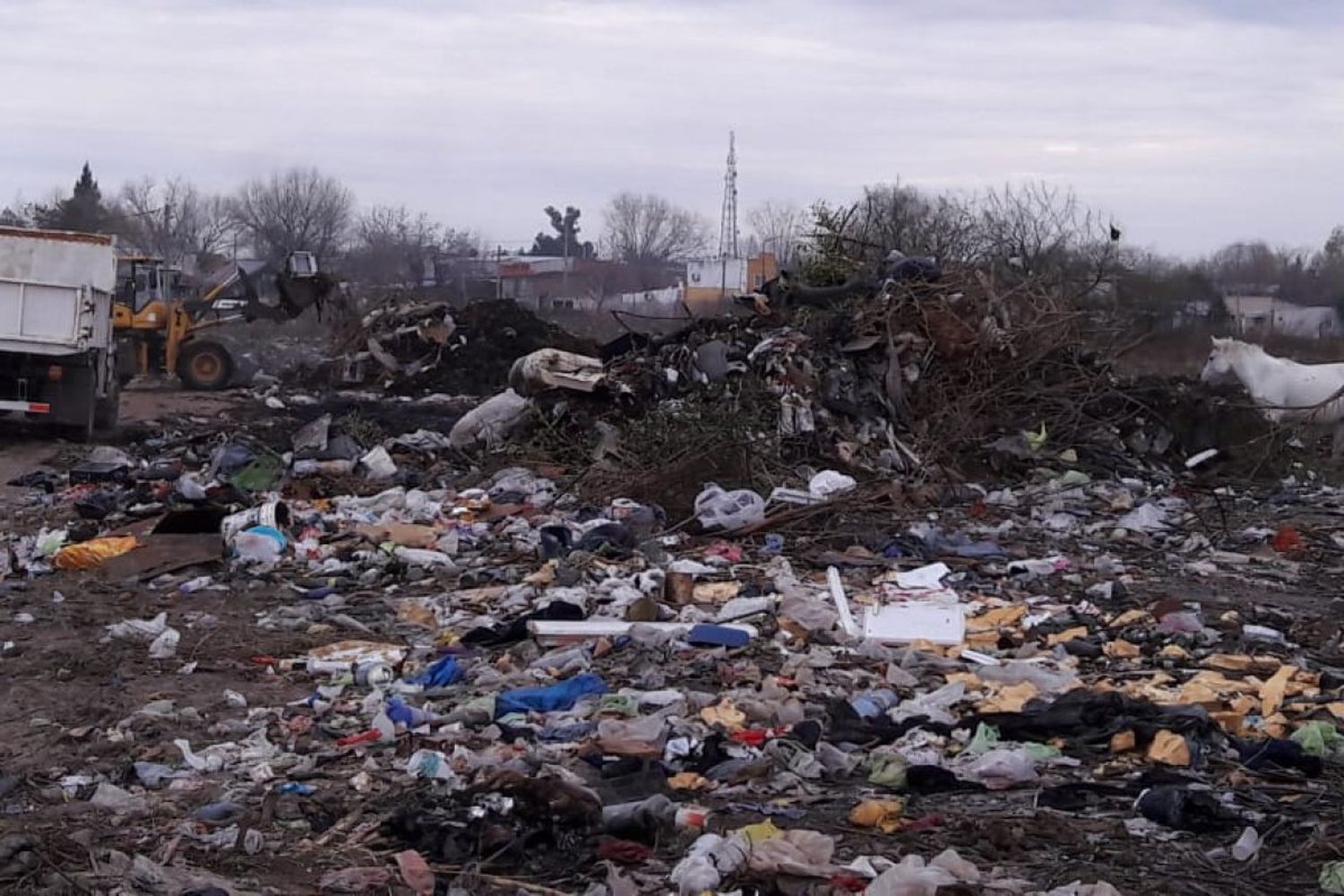 El Foro Ambiental instó a la Municipalidad a que solucione el problema de los microbasurales