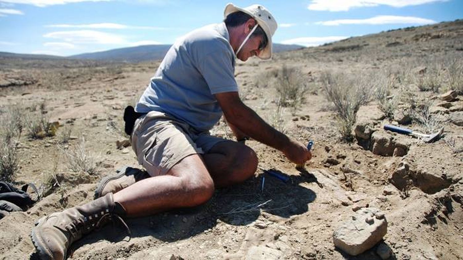 Descubrieron una nueva especie de dinosaurio depredador en Neuquén