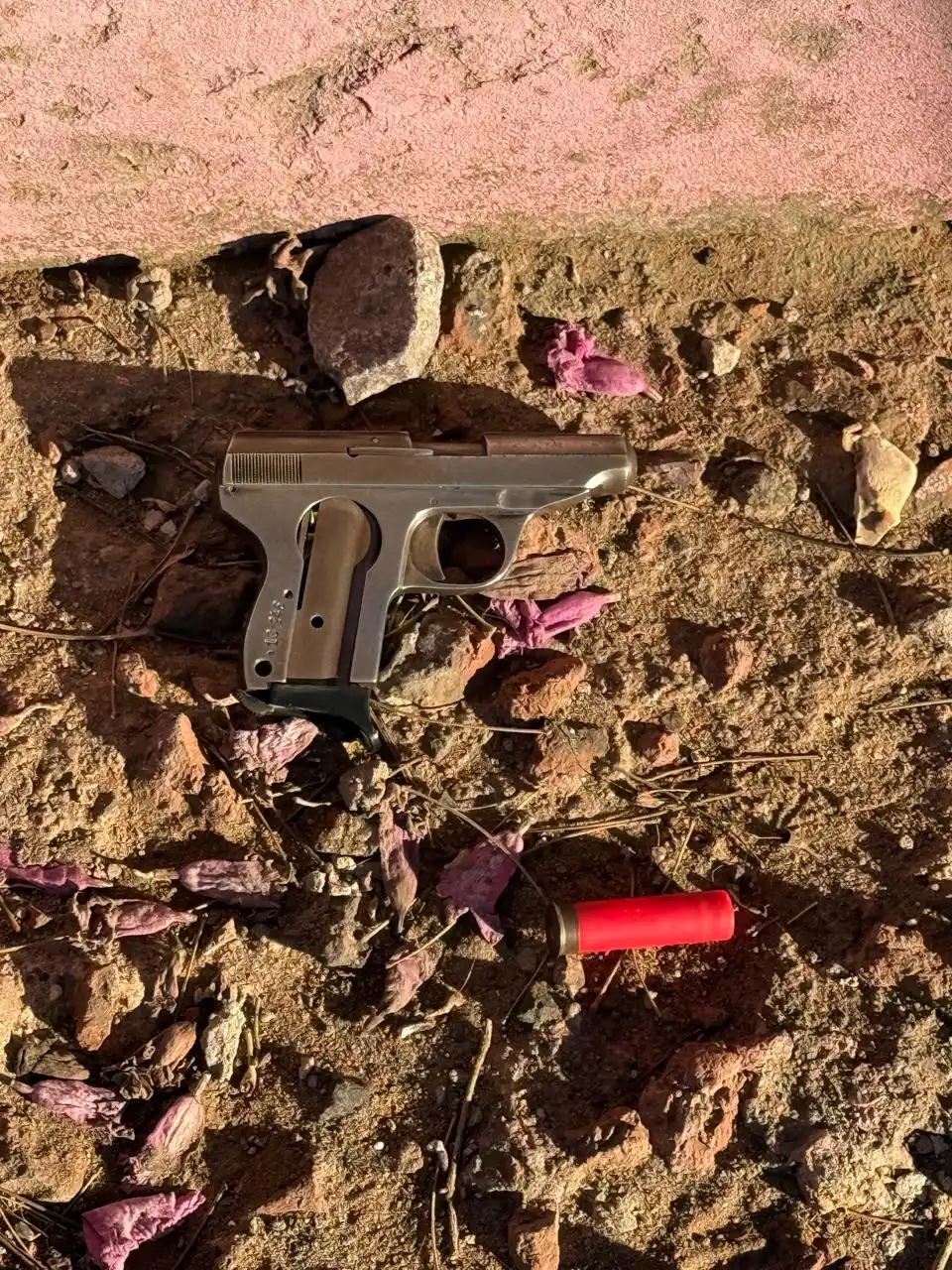 allanamiento pdi ceres - 3