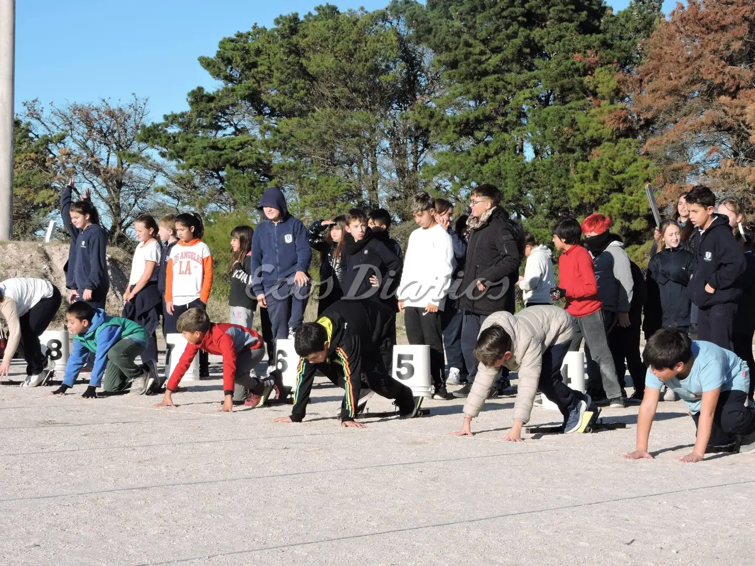 Más de 700 alumnos de primaria en la Pista de Atletismo