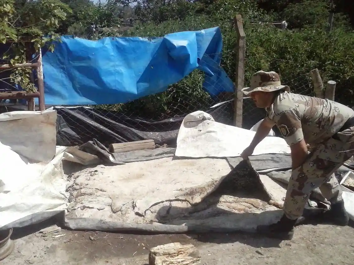 Decomisaron carne y secuestraron un arma