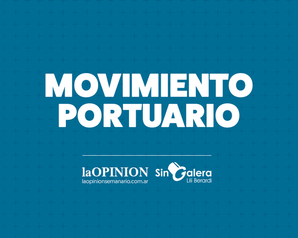 Movimiento portuario: buque carga soja, maíz y girasol para Estados Unidos