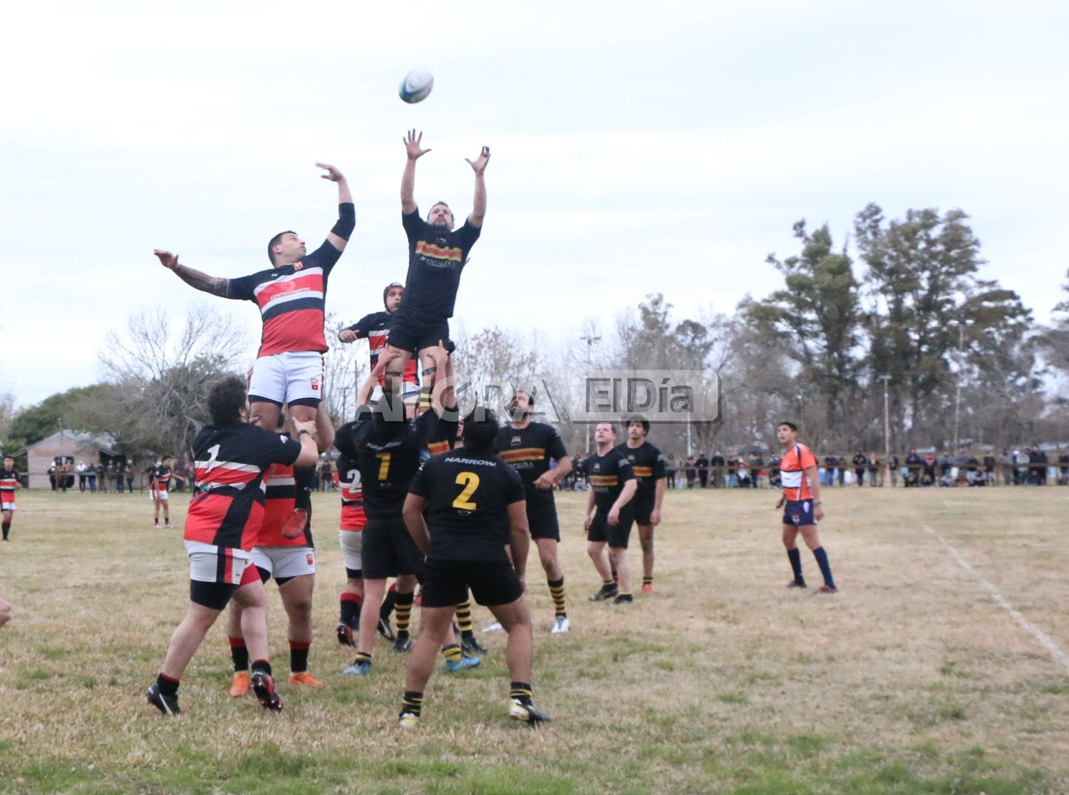 rugby2