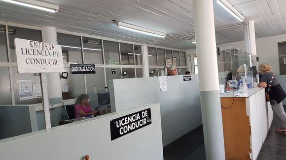 La mitad de los conductores interceptados en operativos no tiene licencia: cómo se obtiene y cuánto cuesta