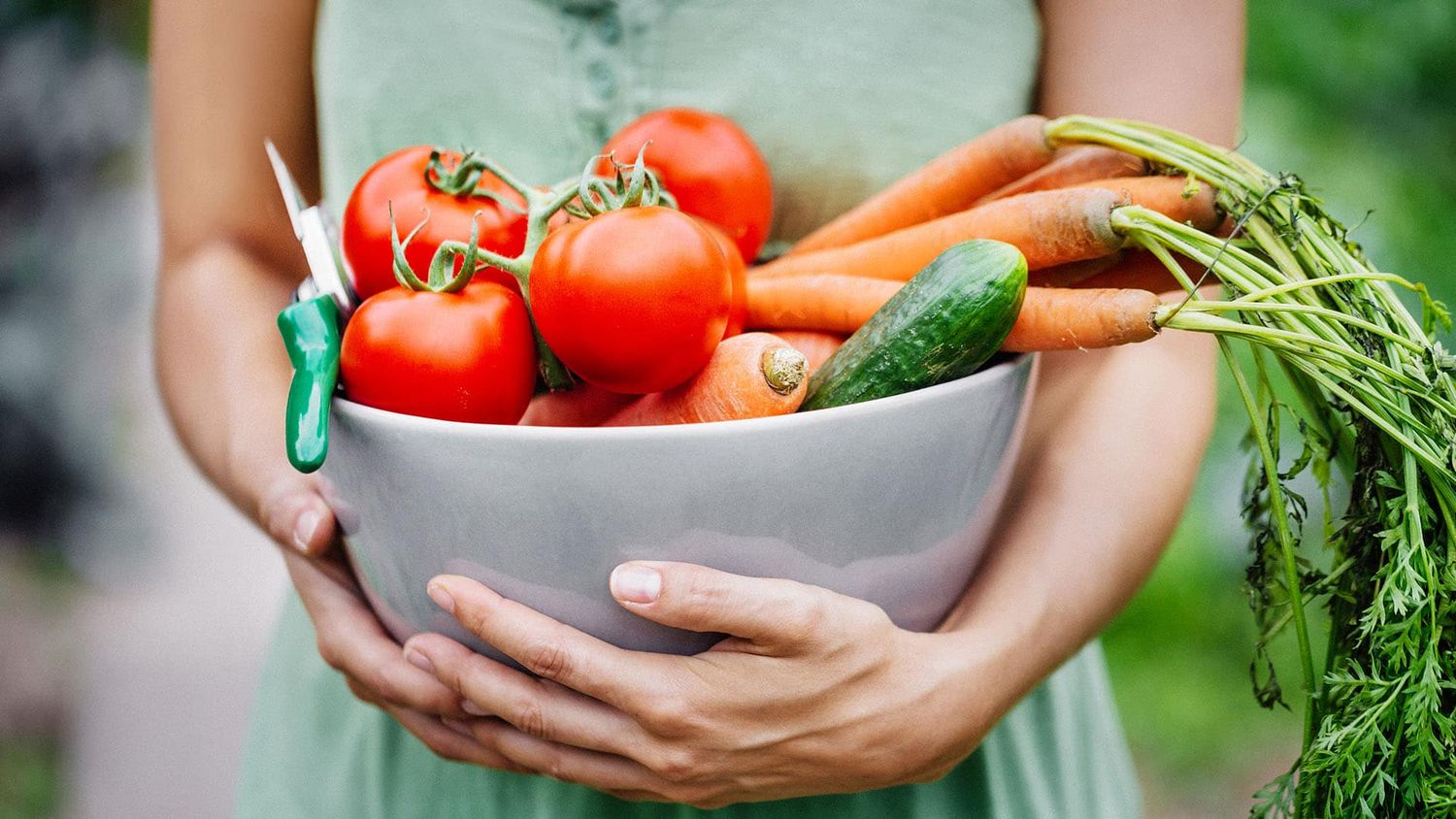 Salud, nutrición y cáncer