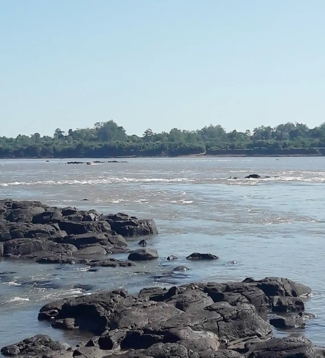 Parque San Carlos, poniendo foco en el problema