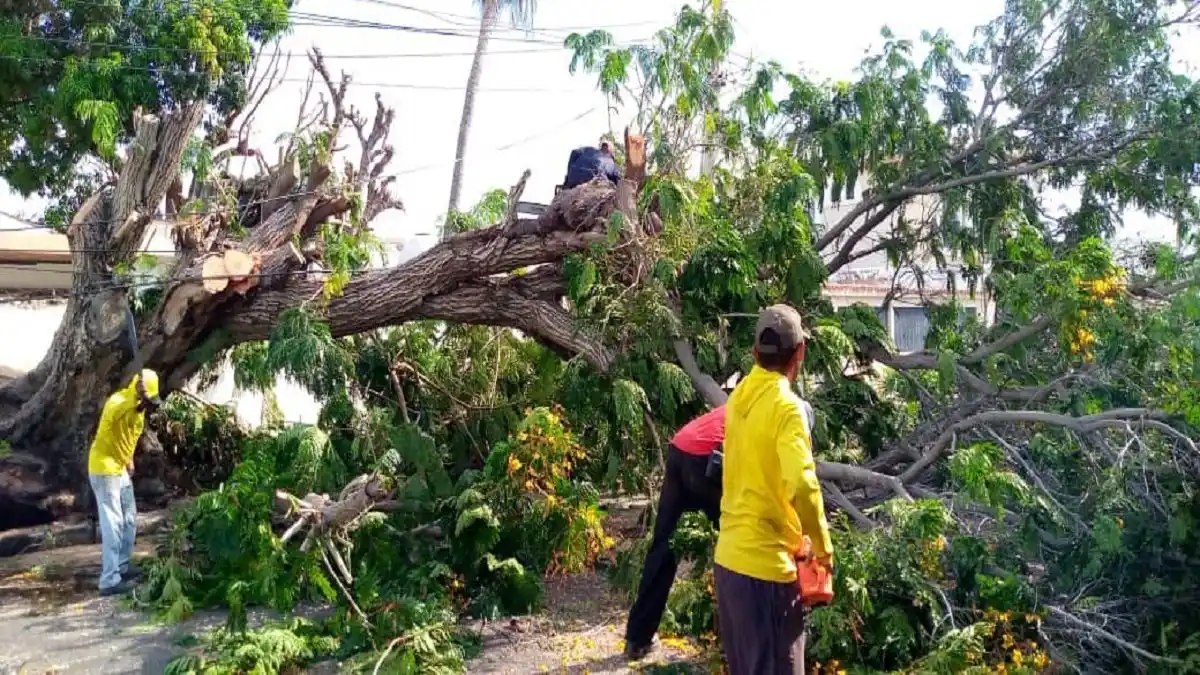 ¡UN MUERTO EN ZULIA! EN EMERGENCIA 7 estados por las lluvias